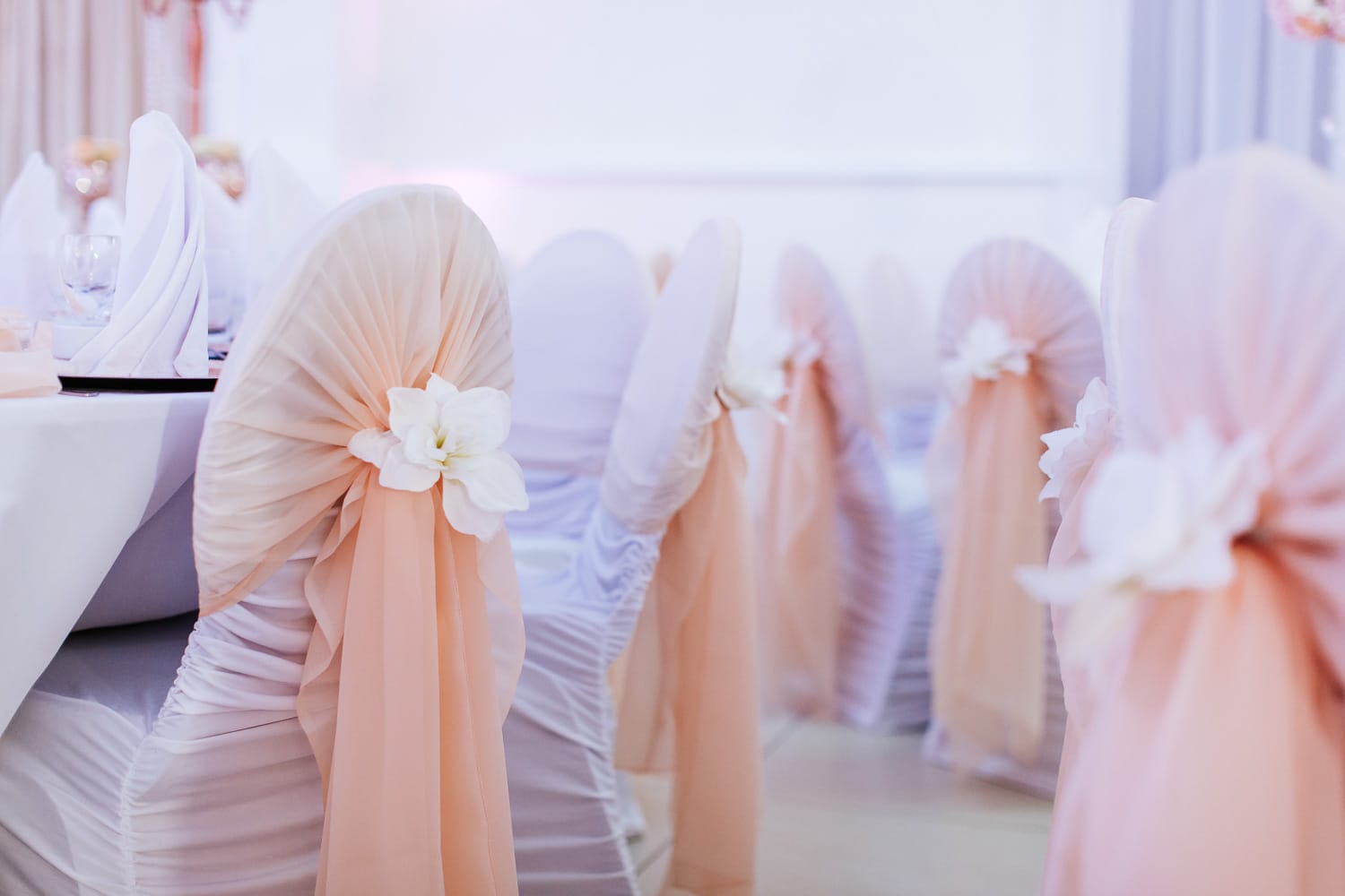 B4752D38 9527 4BCE 8643 84A882C96F30(1)